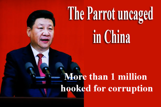 The Parrot is out. China hooked One Million corrupt officials