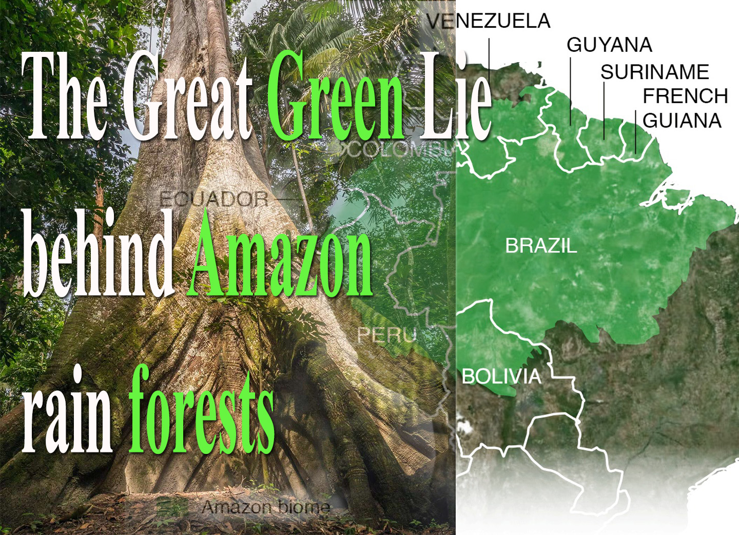 The great green lie behind Amazon rain forests under COVID-19