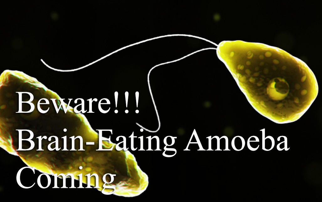 Beware!!! Brain-Eating Amoeba Coming