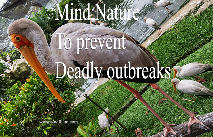 Mind Nature to prevent Deadly outbreaks