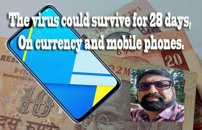 The virus could survive for 28 days, on Notes, Phones.