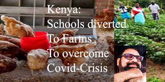 Kenya: Schools diverted to Farms to overcome Covid-Crisis