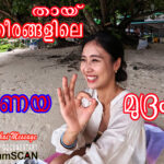 ക്രാബിയിലെ പ്രണയതീരങ്ങളിൽ വിരഹവേദനയിൽ