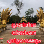 ശ്രീബുദ്ധന്റെ ഗർജ്ജിക്കുന്ന പുലിഗുഹാക്ഷേത്രം