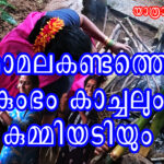 മാമലകണ്ടത്തെ കുംഭം കാച്ചലും കുമ്മിയടിയും