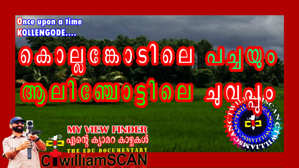 കൊല്ലങ്കോടിലെ പച്ചപ്പും, ആലിഞ്ചാട്ടിലെ ചുവപ്പും